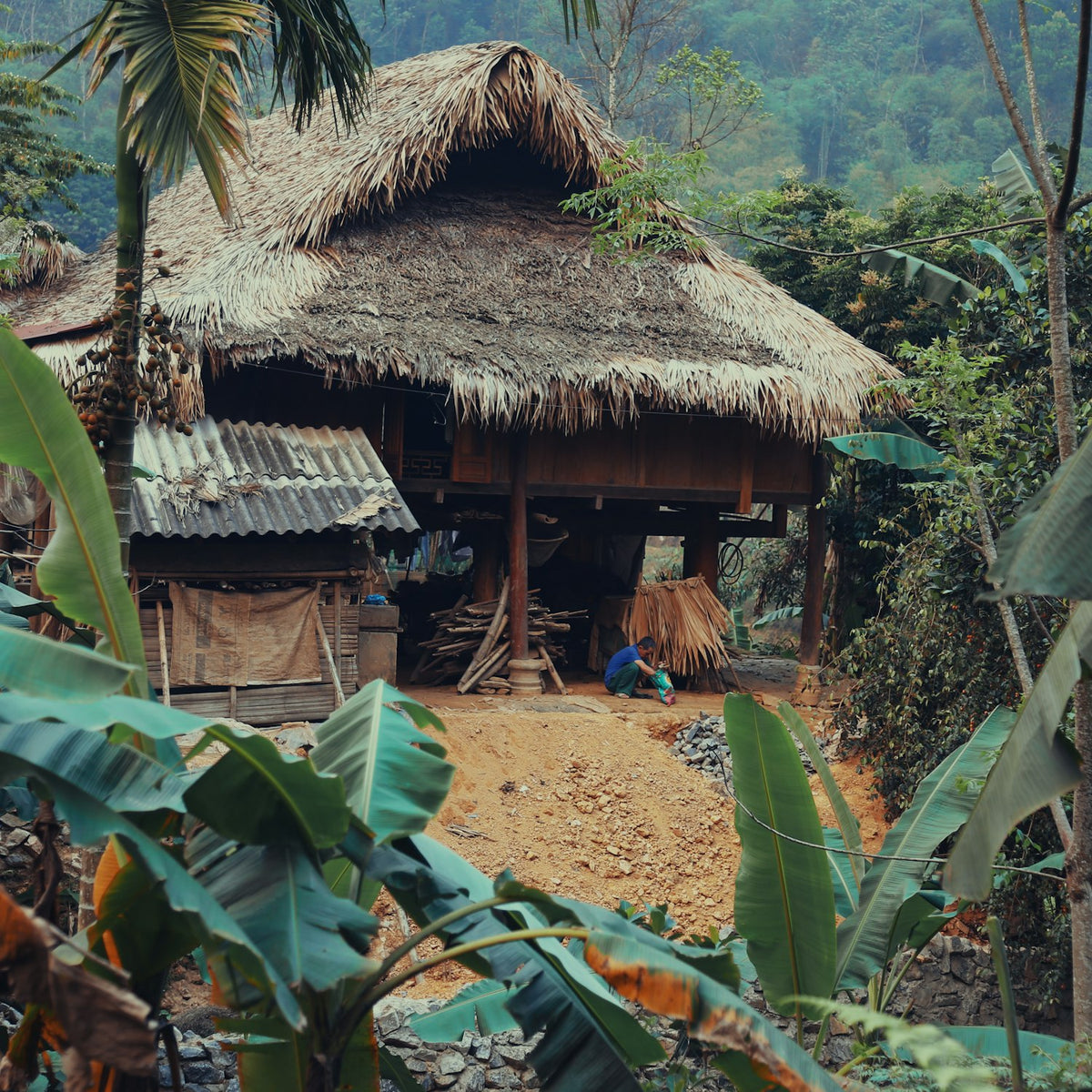 pkislandvillage Thatched houses in a Pacific island village